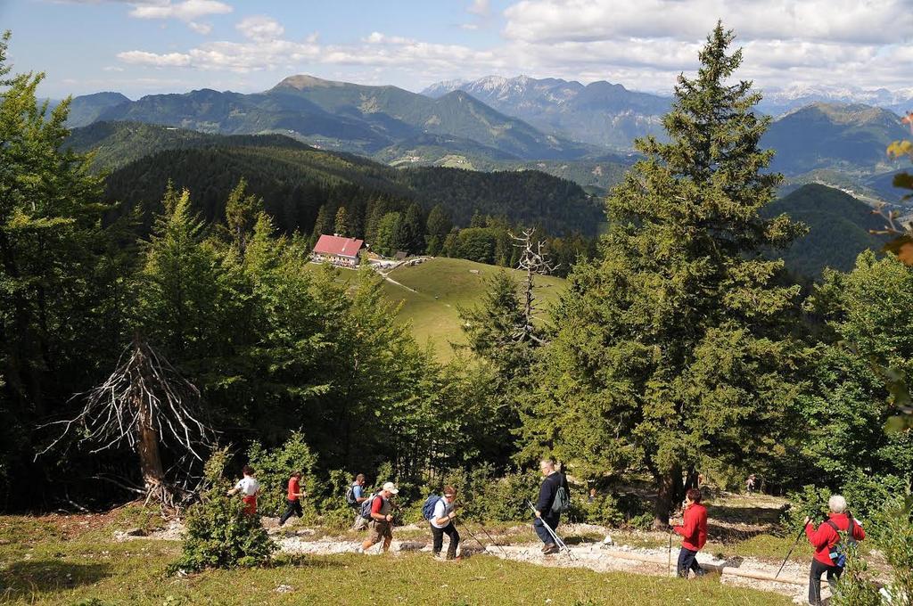 Apartmaji Srnca Cerkno Exterior foto